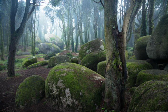 Landscape-Portugal-Fog-and-Forrest-with-stones-Andreas-Kunz-Photography
